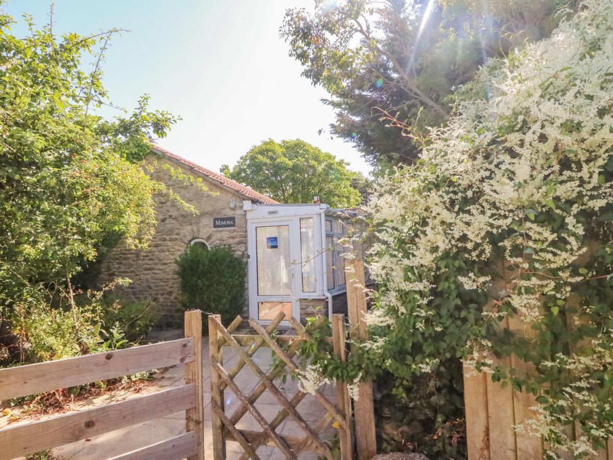 Mimosa Cottage Swyre Buitenkant foto